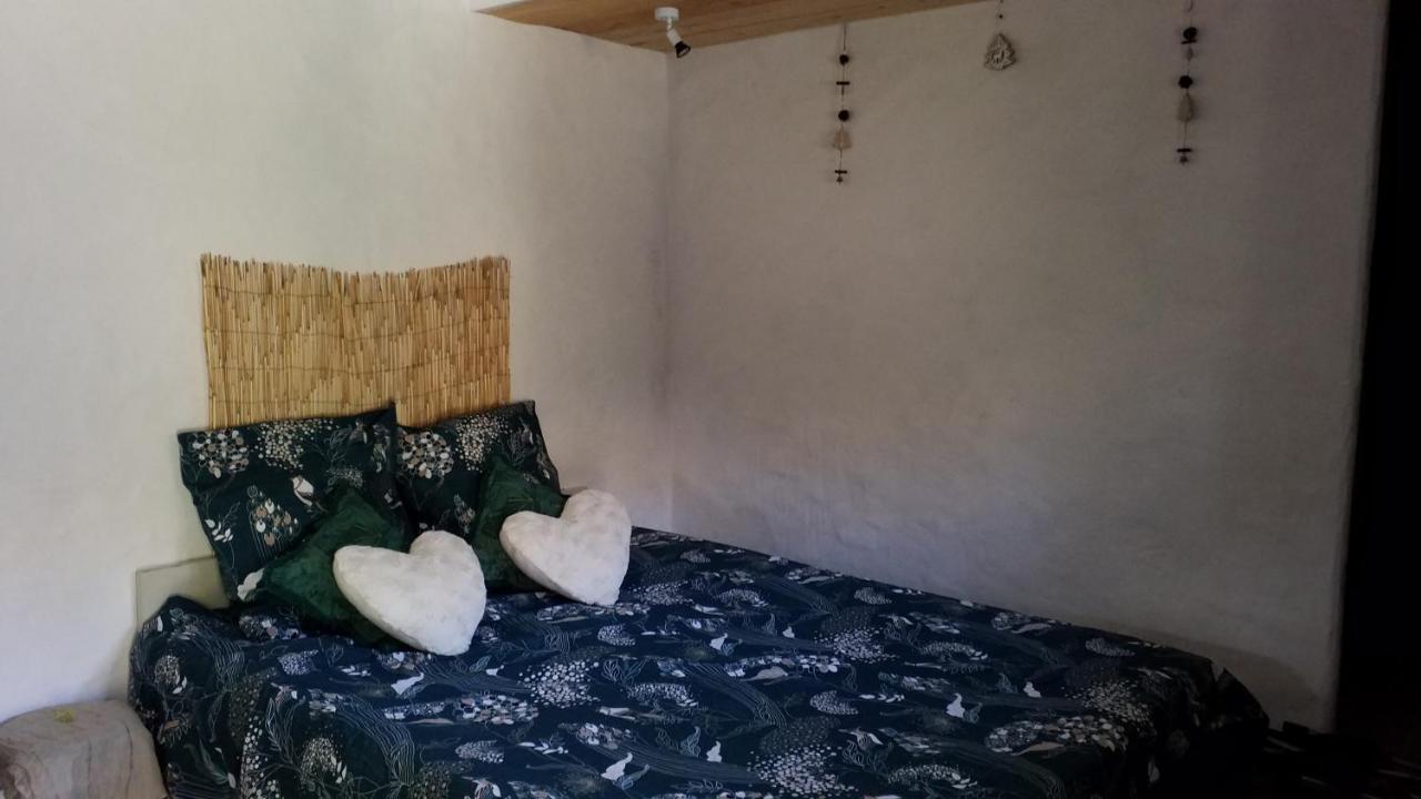 Bed and Breakfast Le Petit Nid Sablieres Zewnętrze zdjęcie