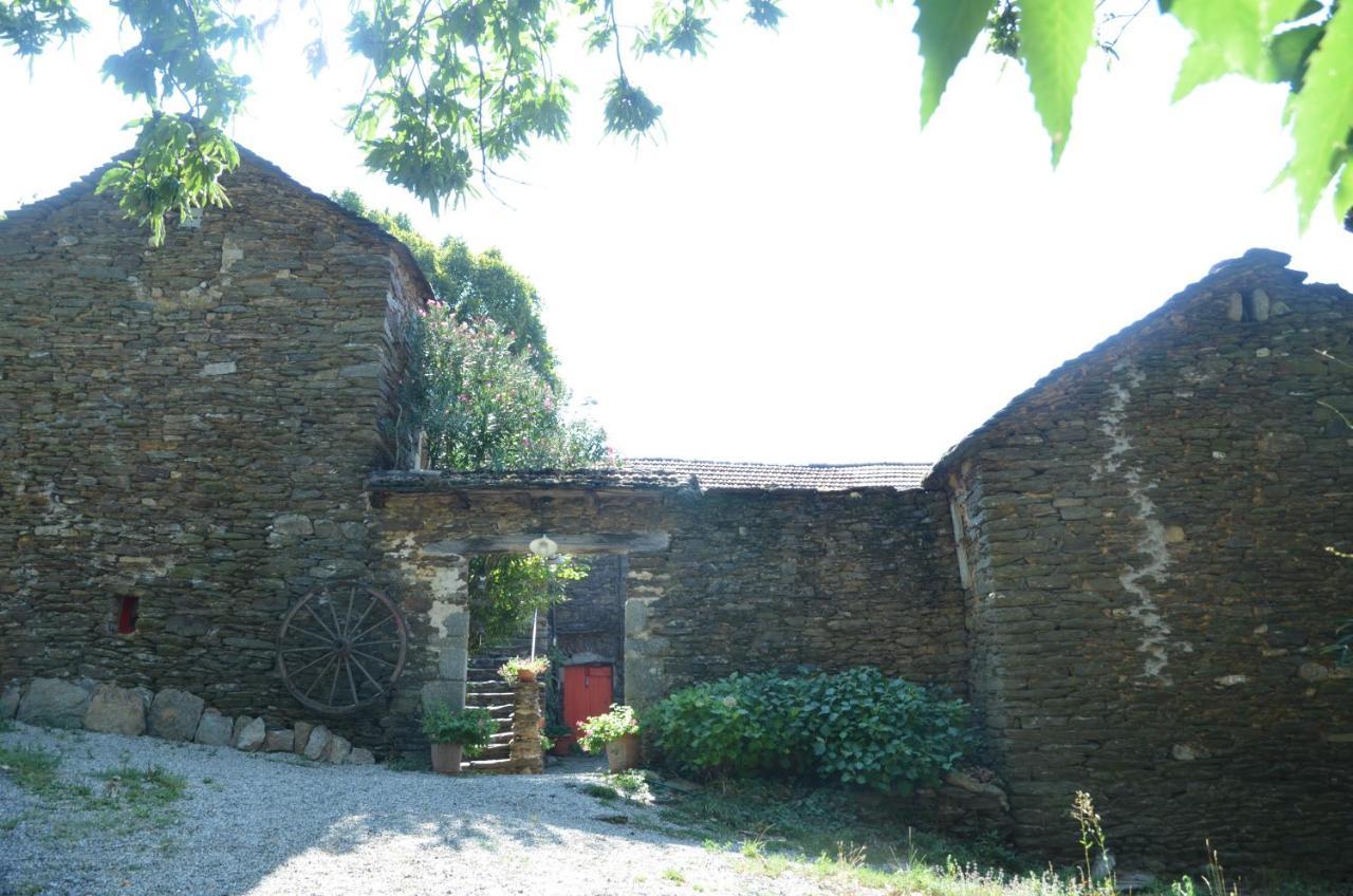 Bed and Breakfast Le Petit Nid Sablieres Zewnętrze zdjęcie