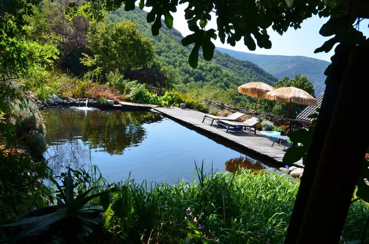Bed and Breakfast Le Petit Nid Sablieres Zewnętrze zdjęcie